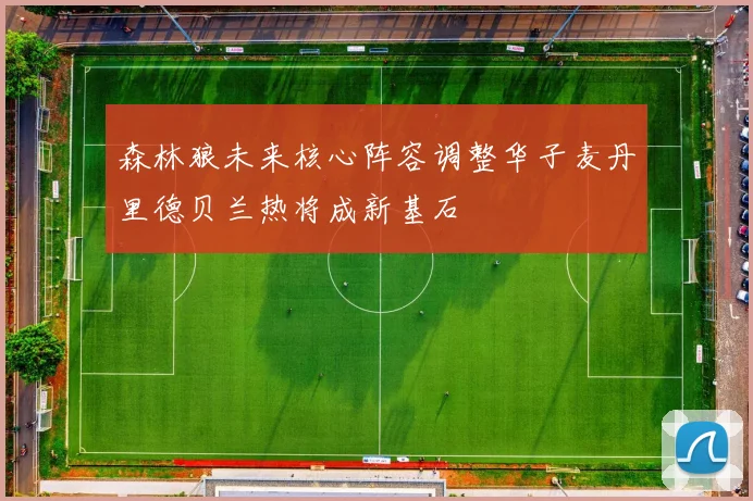 森林狼未来核心阵容调整华子麦丹里德贝兰热将成新基石